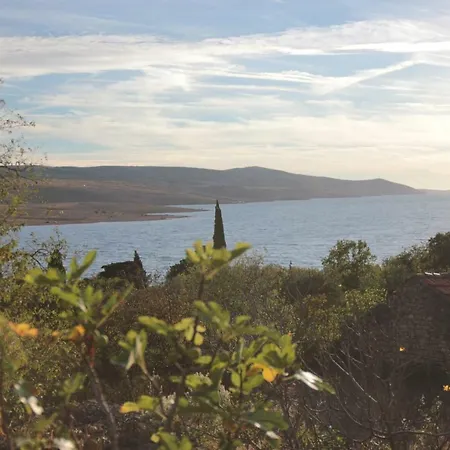 Irina 洛瓦尼斯卡