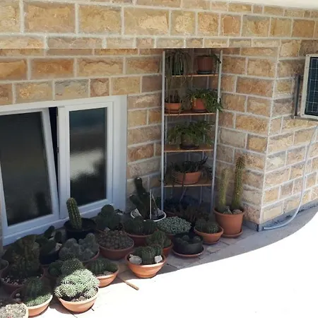 Διαμέρισμα Irina *