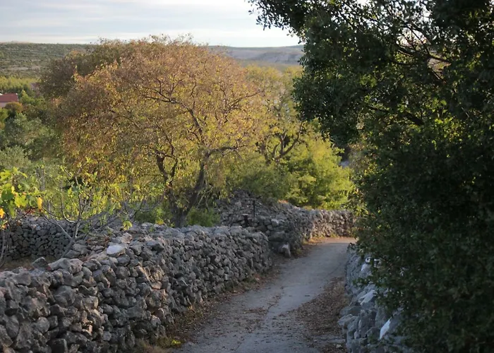 Irina 아파트 로바니스카