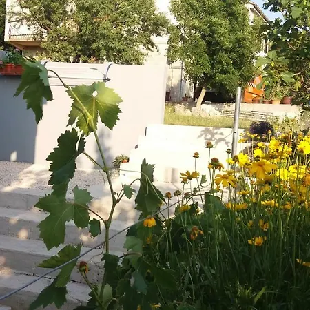 Irina Appartement